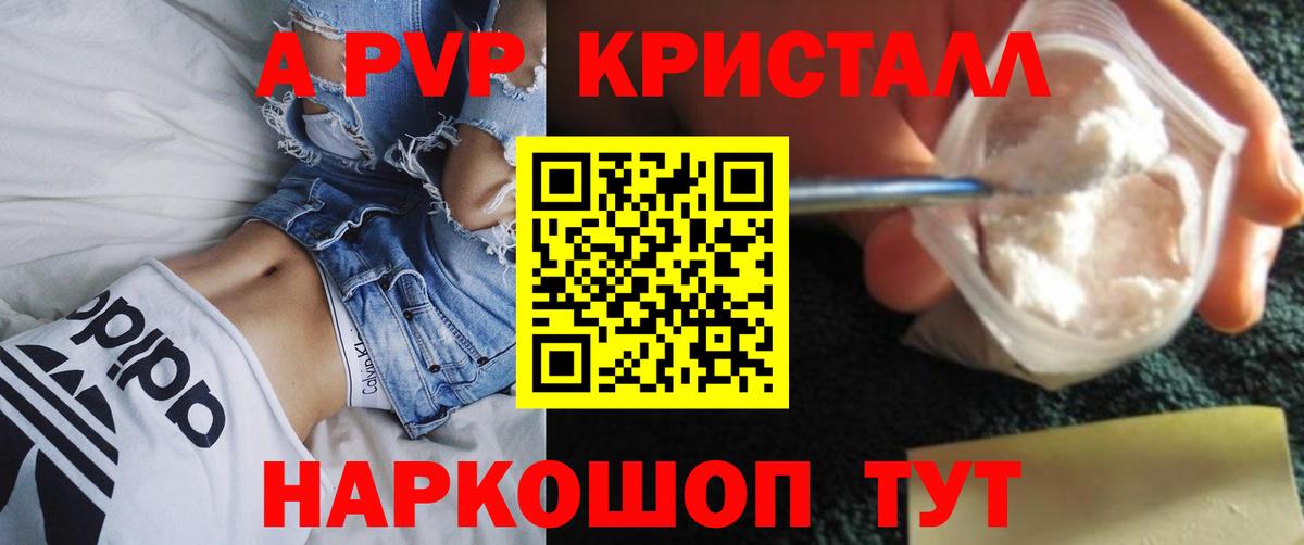 Alpha PVP СК КРИС Курчалой